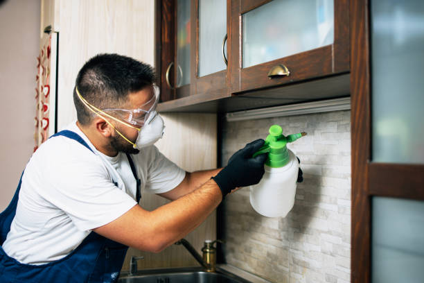 Best Exterminator Services  in Swainsboro, GA