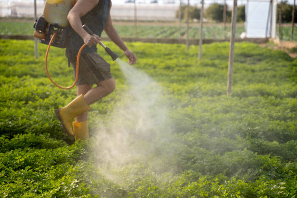 Best Pest Prevention Services  in Swainsboro, GA