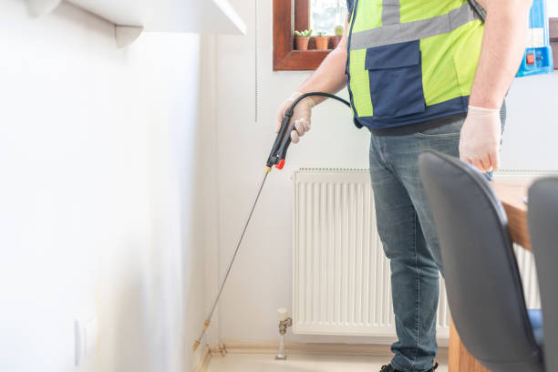 Best Affordable Pest Control Services  in Swainsboro, GA