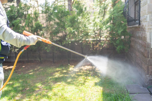 Best Pest Inspection Near Me  in Swainsboro, GA