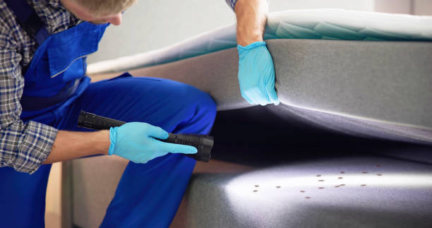 Best Termite Control Services  in Swainsboro, GA