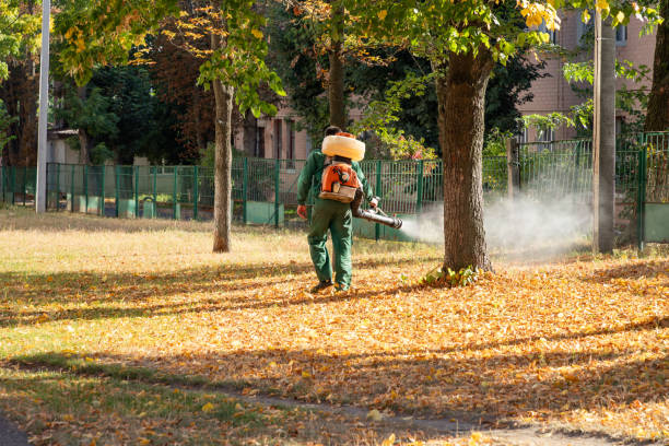 Best Residential Pest Control  in Swainsboro, GA